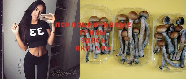 меф Туринск